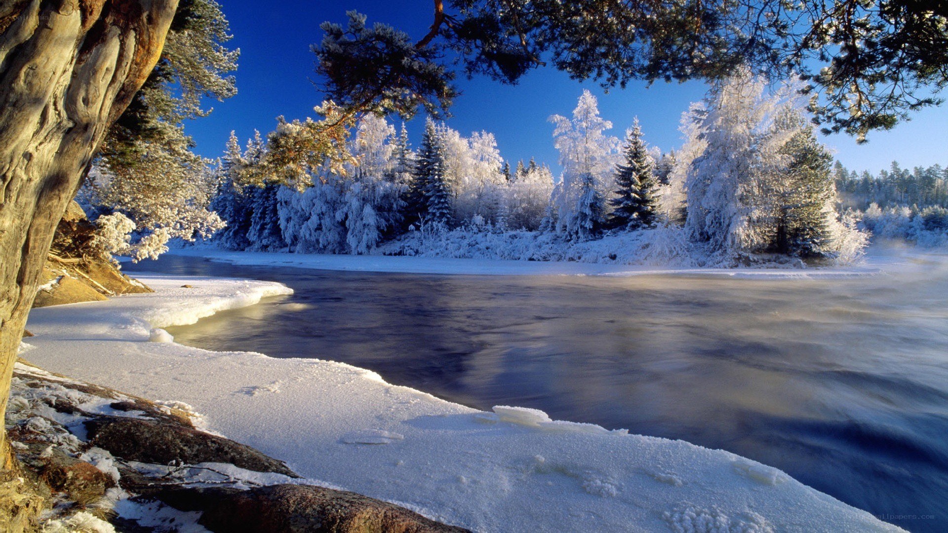 Frozen river in winter landscape