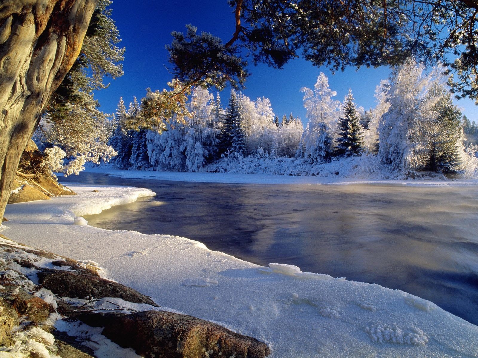 Frozen river in winter landscape