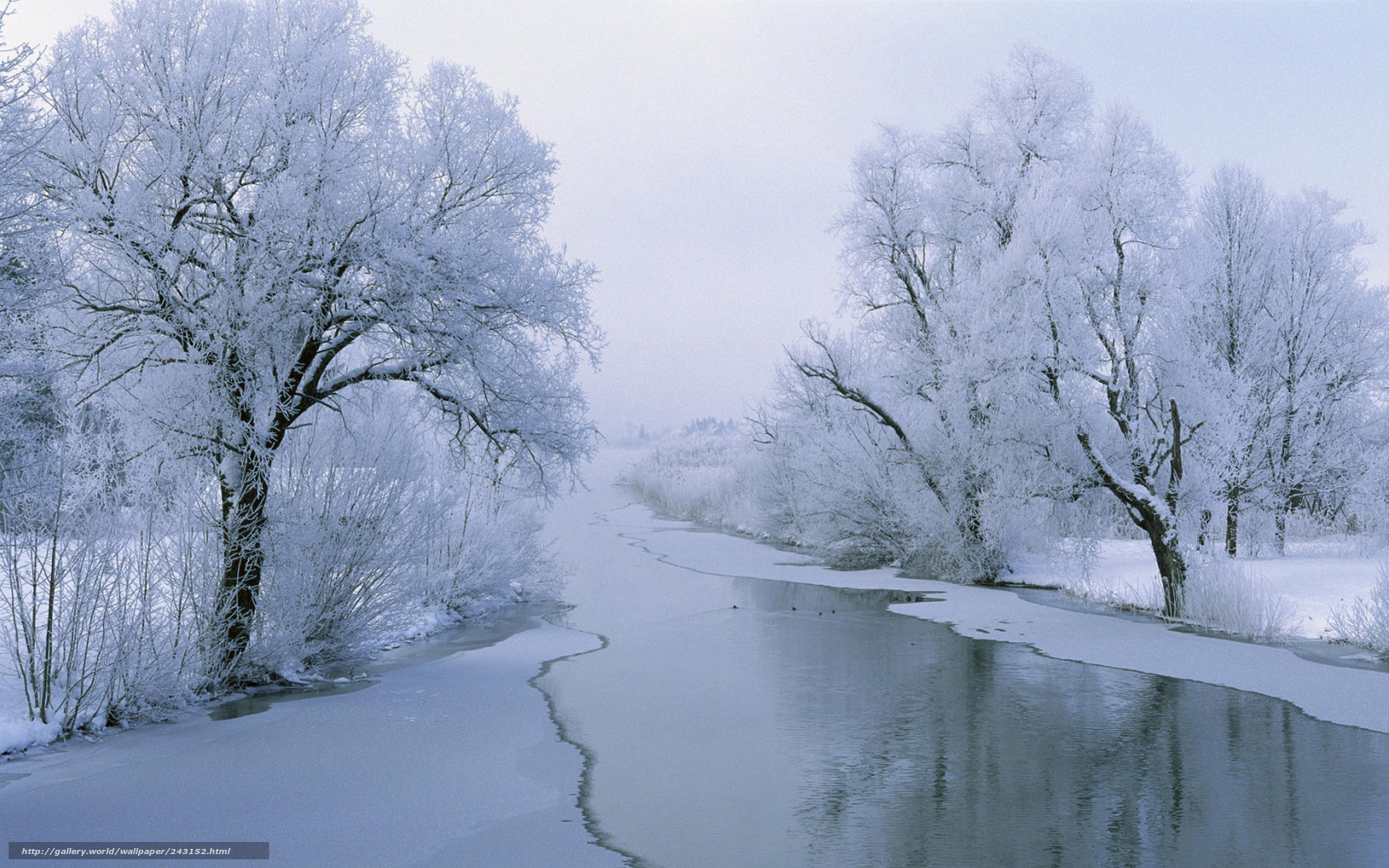 Frozen river in winter landscape