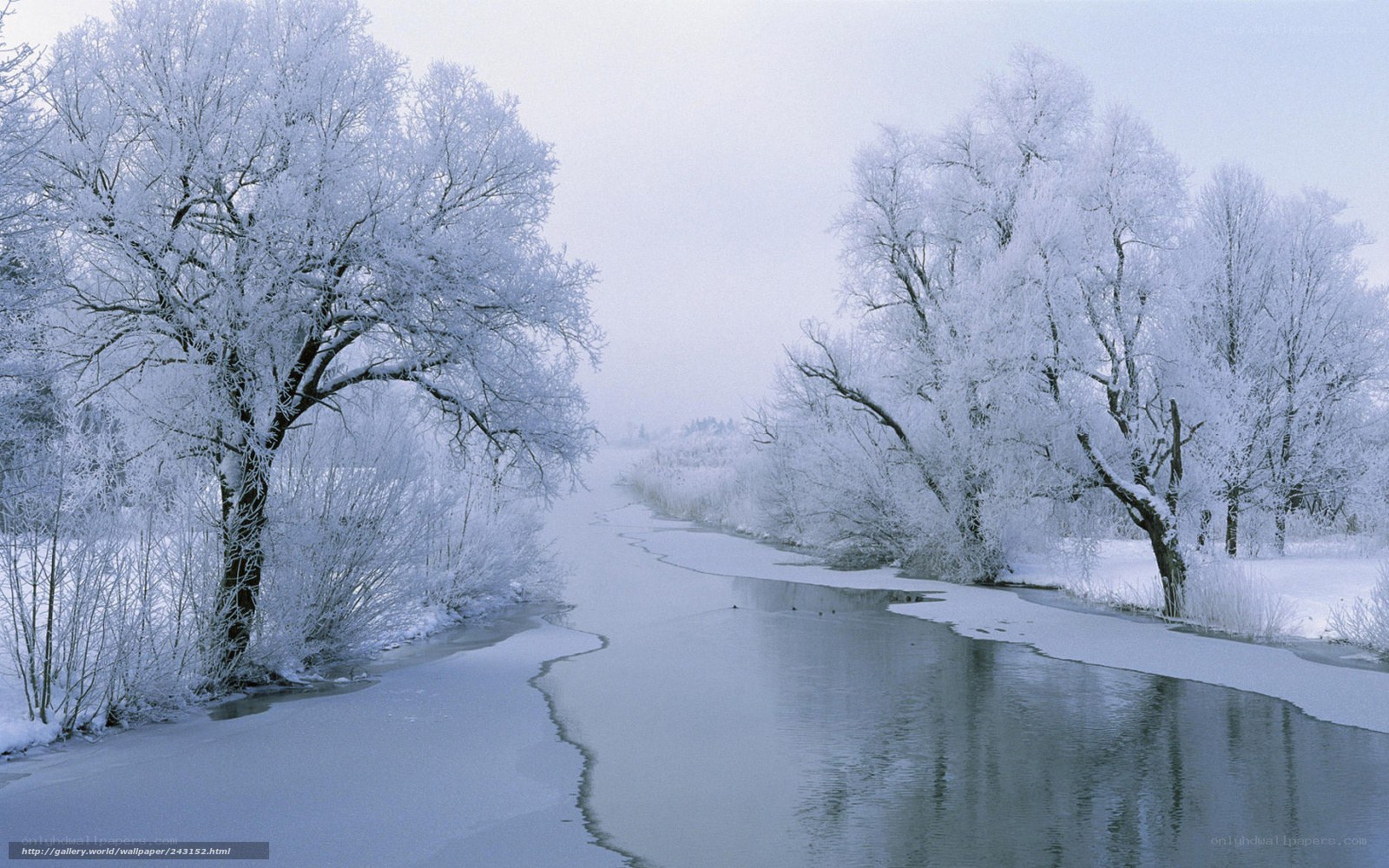 Frozen river in winter landscape