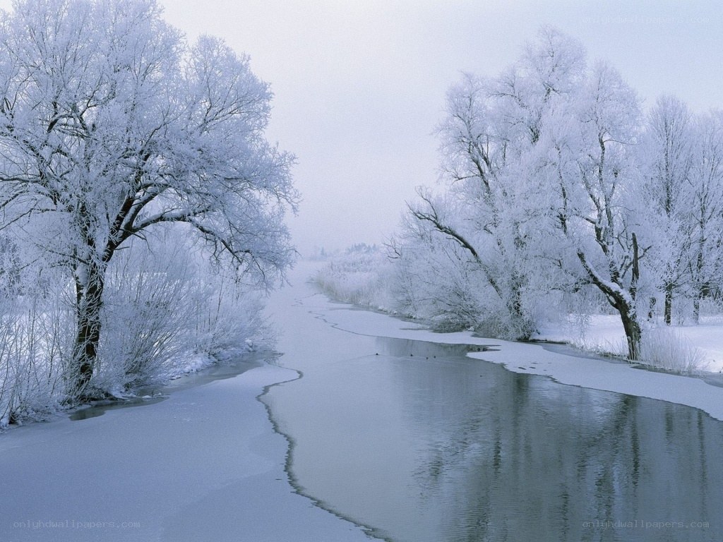 Frozen river in winter landscape