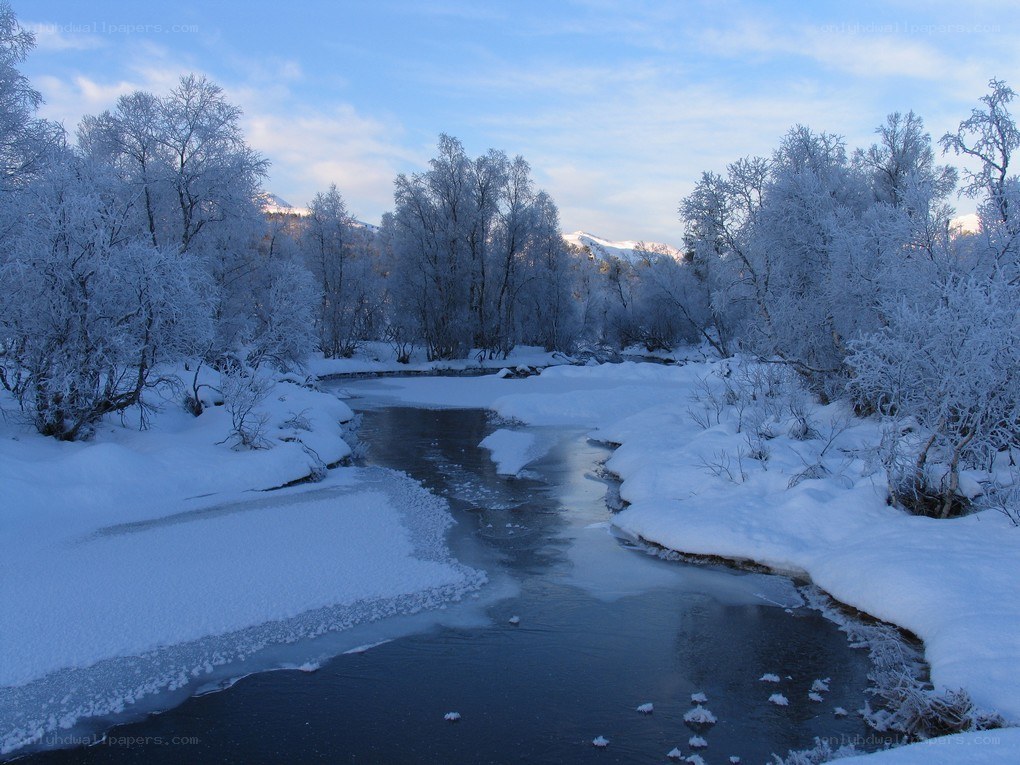 Frozen river in winter landscape
