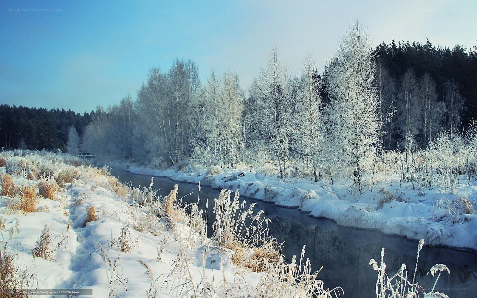 frozen river in winter landscape