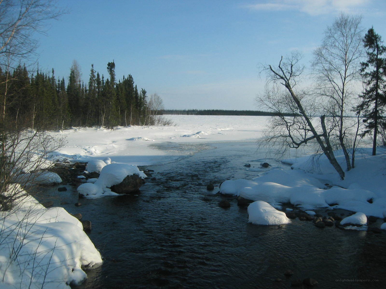 Frozen river in winter landscape
