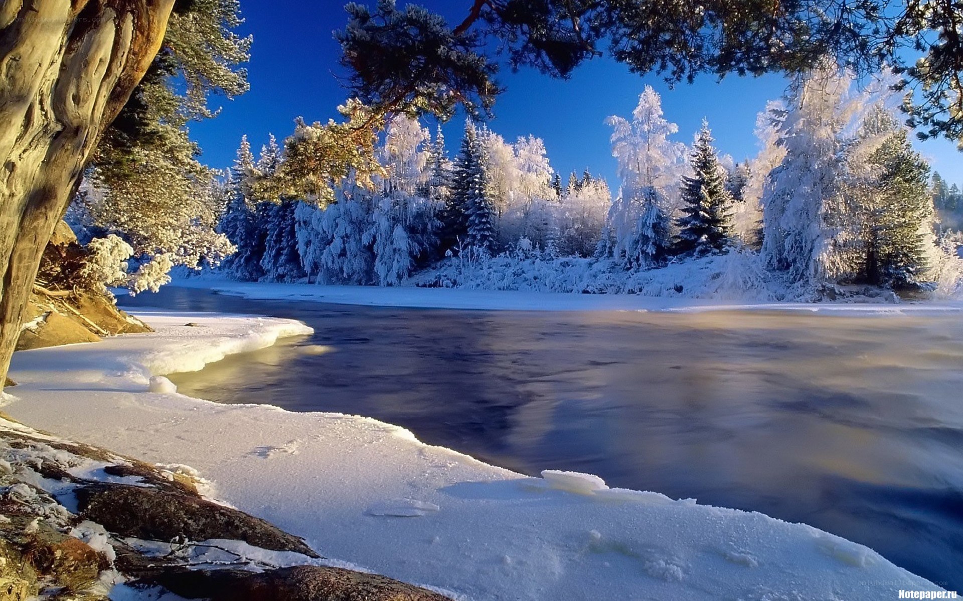 Frozen river in winter landscape