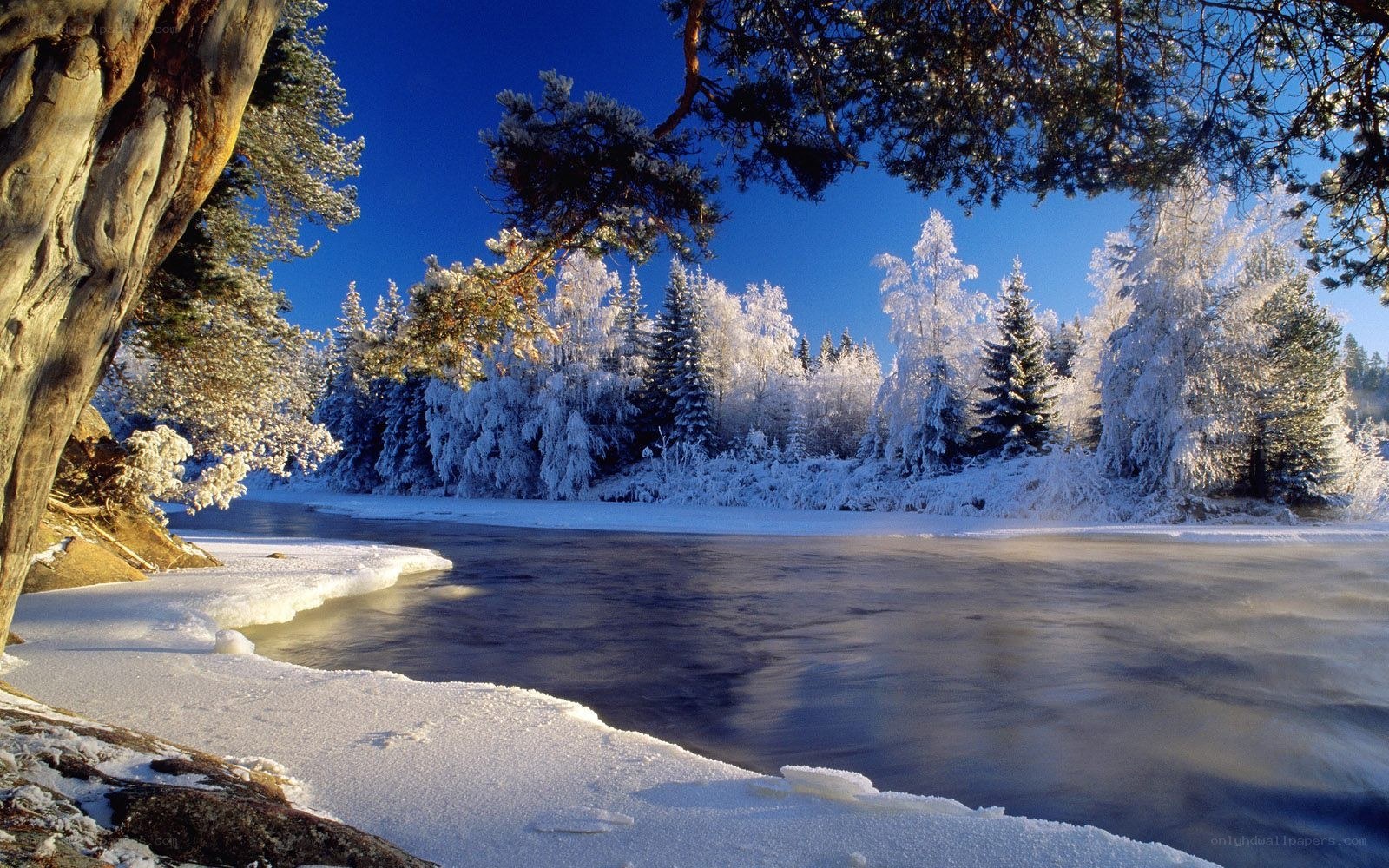 Frozen river in winter landscape