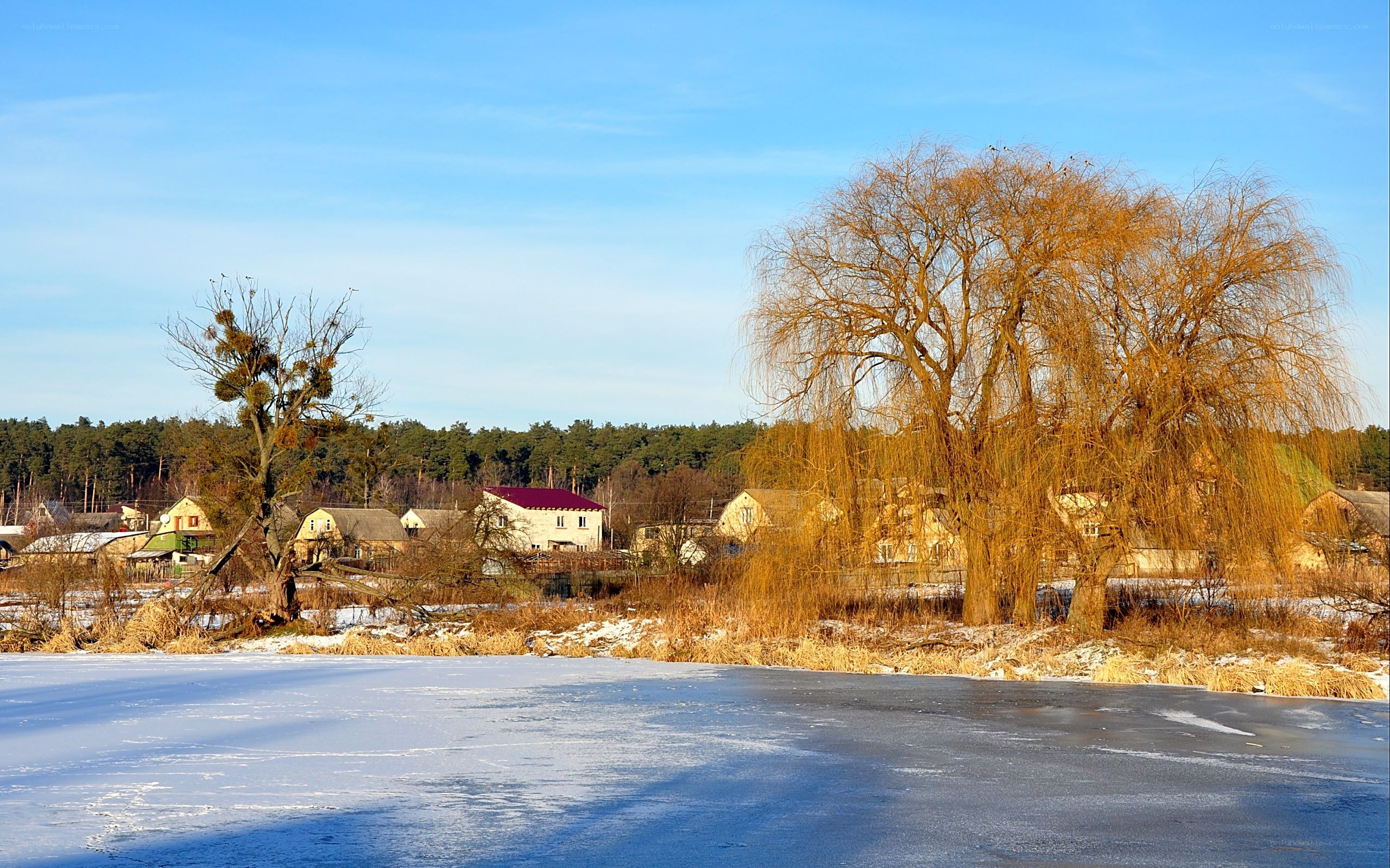 Frozen river in winter village