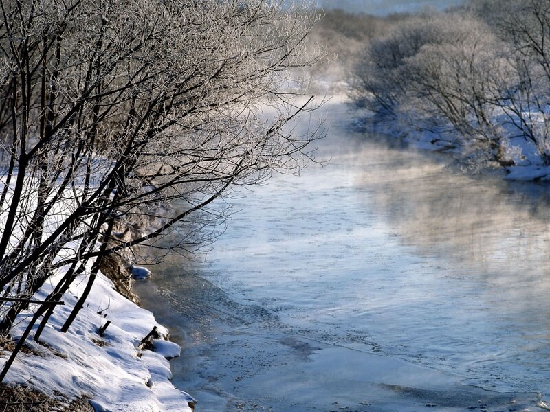Frozen River in Winter — White, Cold, Photograph, Snow, Bare Trees