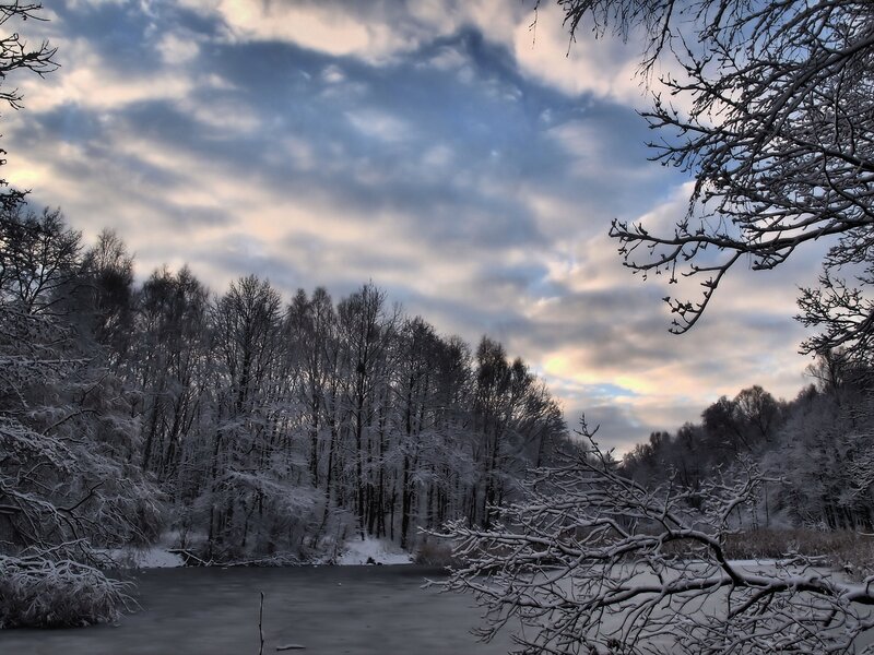 Frozen River in Winter — White, Cold, Photograph, Snow-covered Trees