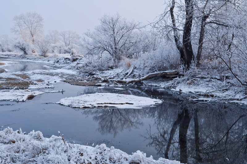 Frozen River in Winter — White, Cold, Photograph, Snow, Trees, Ice