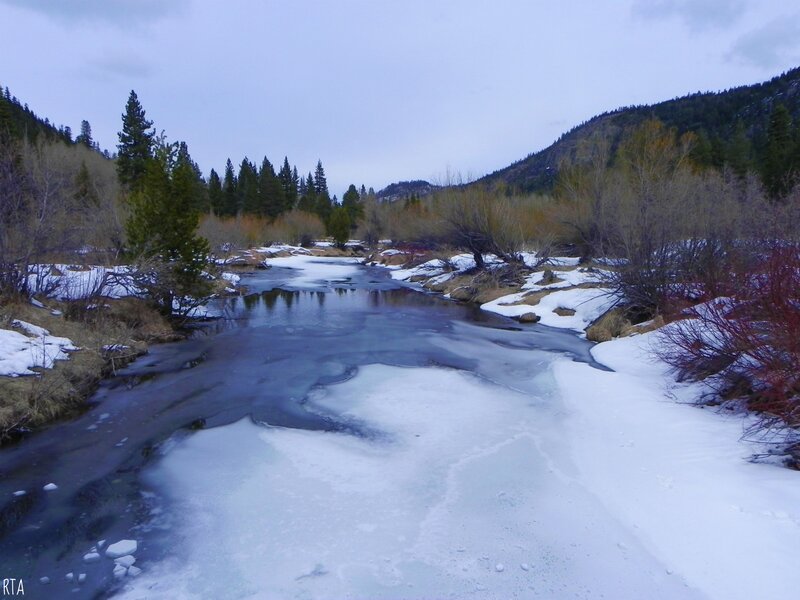 Frozen River in Winter — White, Cold, Photograph, Snow, Trees