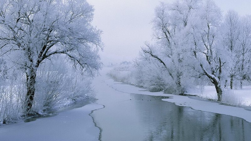 Frozen River in Winter — White, Cold, Photograph, Trees, Snow