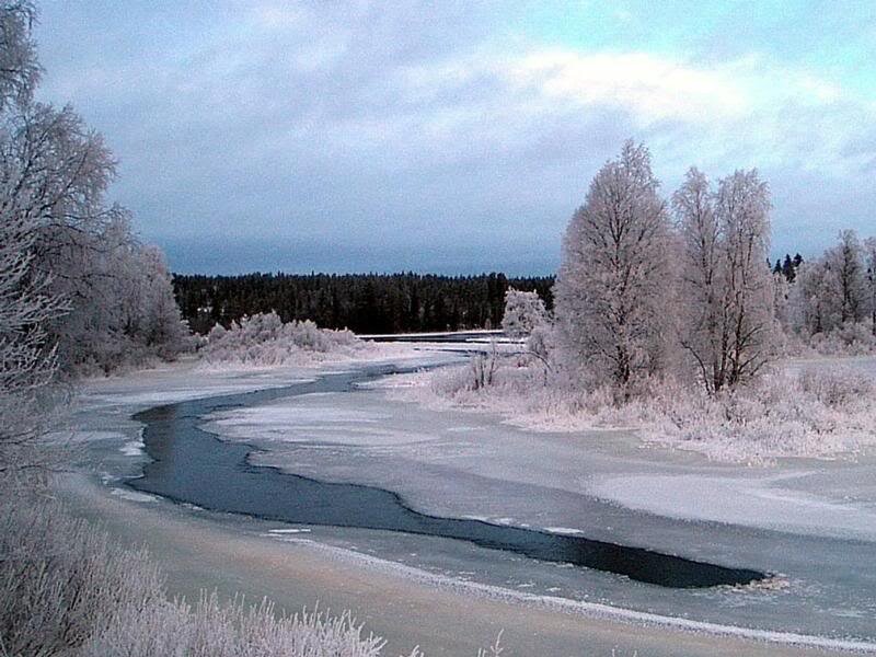 Frozen River in Winter — White, Cold, Photograph, Trees