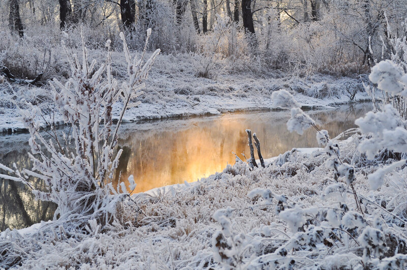 Frozen River in Winter — White, Serene, Photograph, Snow, Trees, Sunlight