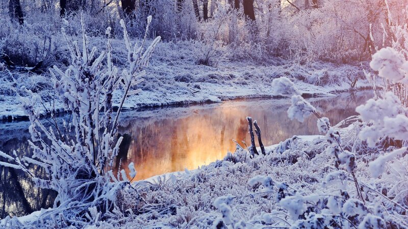 Frozen River in Winter — White, Serene, Photograph, Snow, Trees, Sunrise