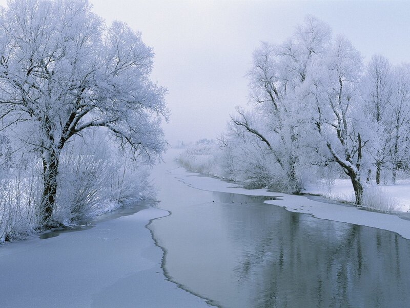 Frozen River in Winter — White, Serene, Photograph, Trees, Snow, Frost