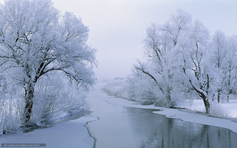 Frozen River in Winter — White, Serene, Photograph, Trees, Snow, Mist