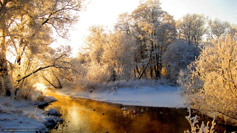 Frozen River in Winter — White, Serene, Photograph, Trees, Snow