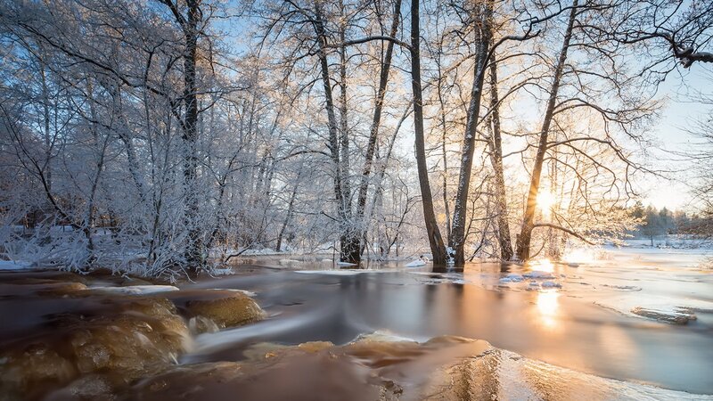 Frozen River in Winter — White, Serene, Photograph, Trees, Sunlight