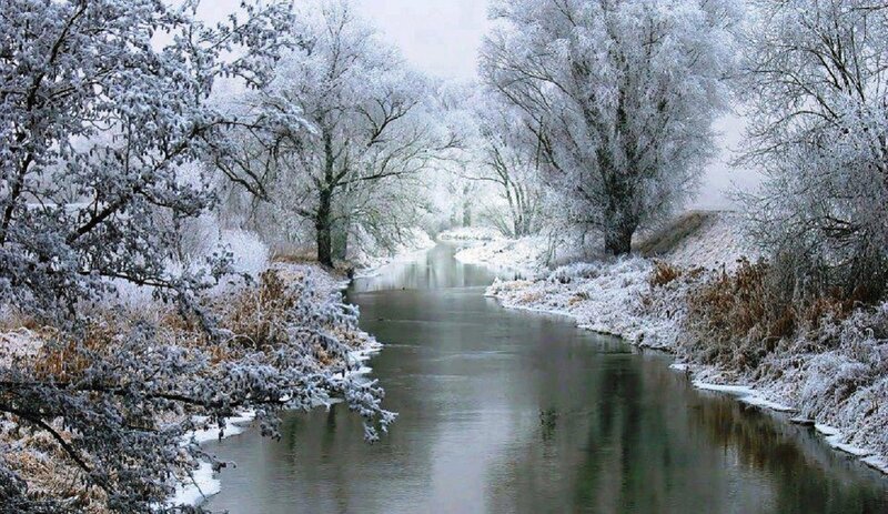 Frozen River in Winter — White, Serene, Photograph, Trees