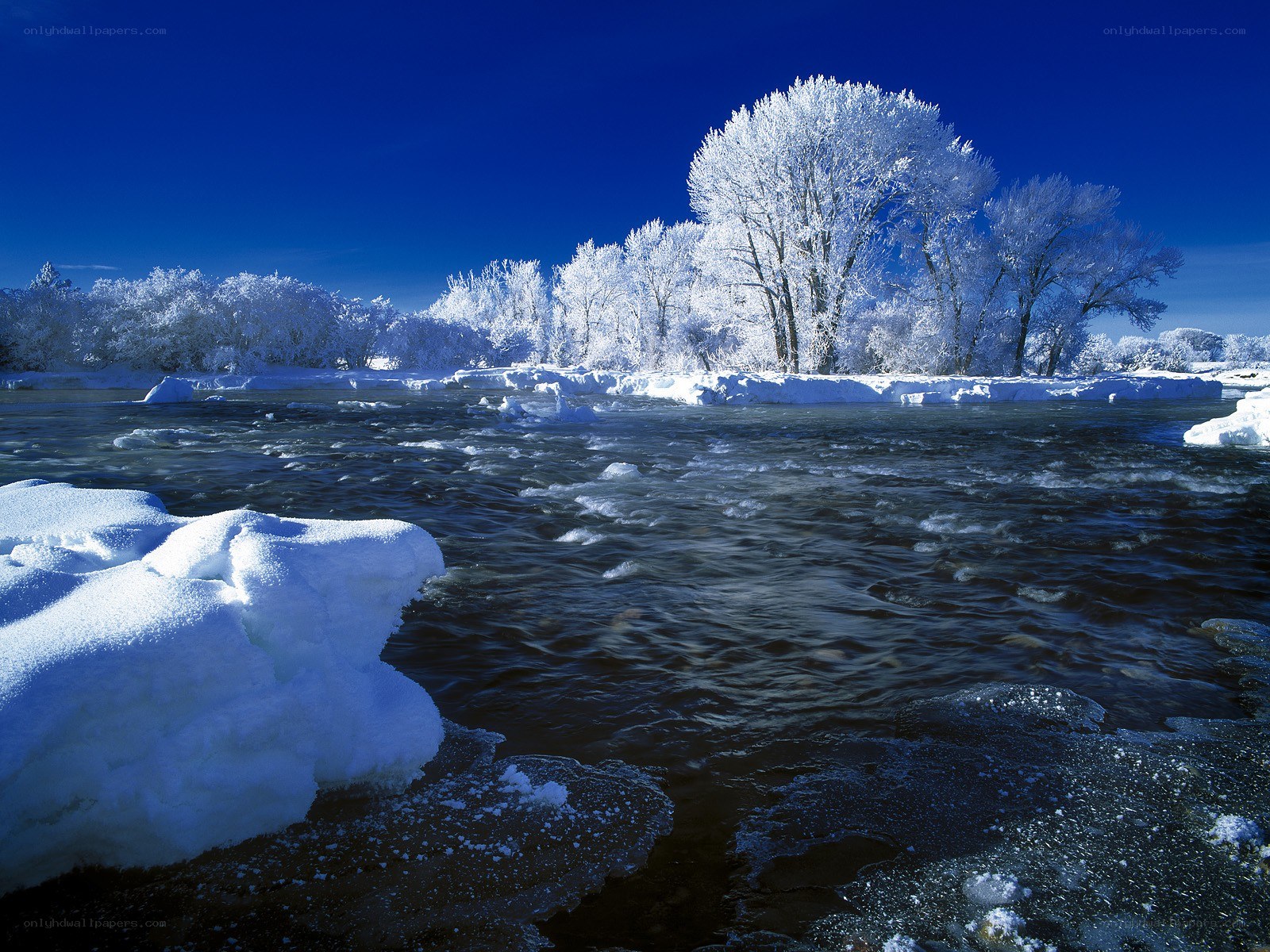 Frozen river landscape