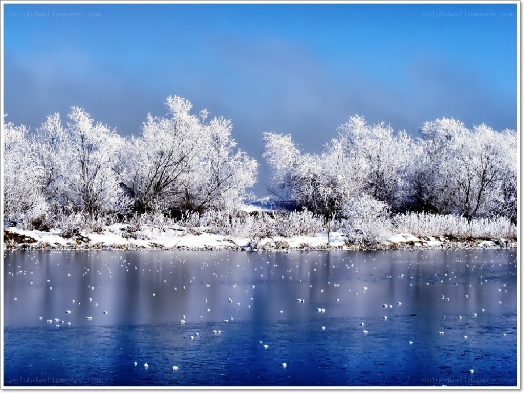 frozen river landscape
