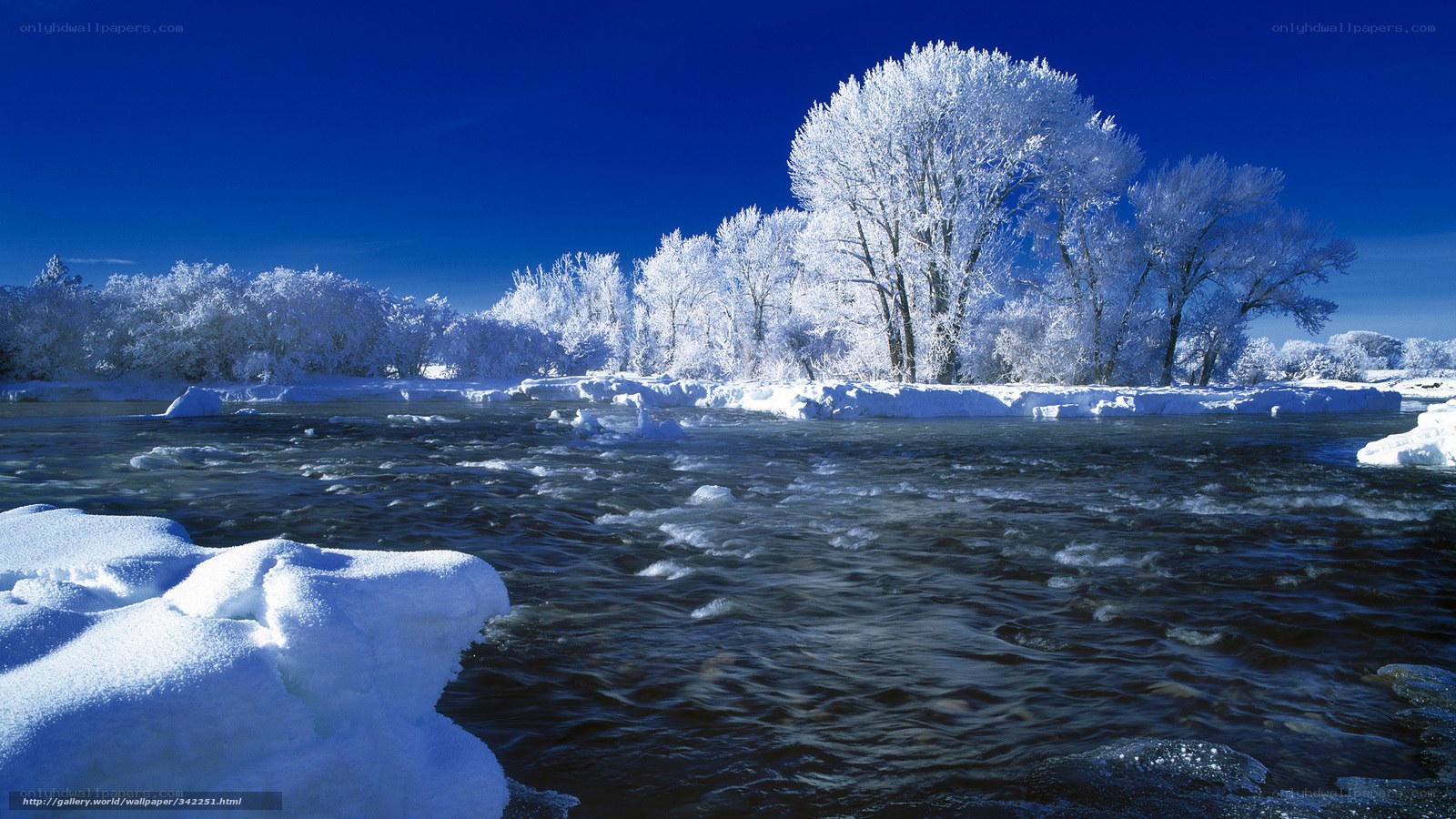 Frozen river landscape