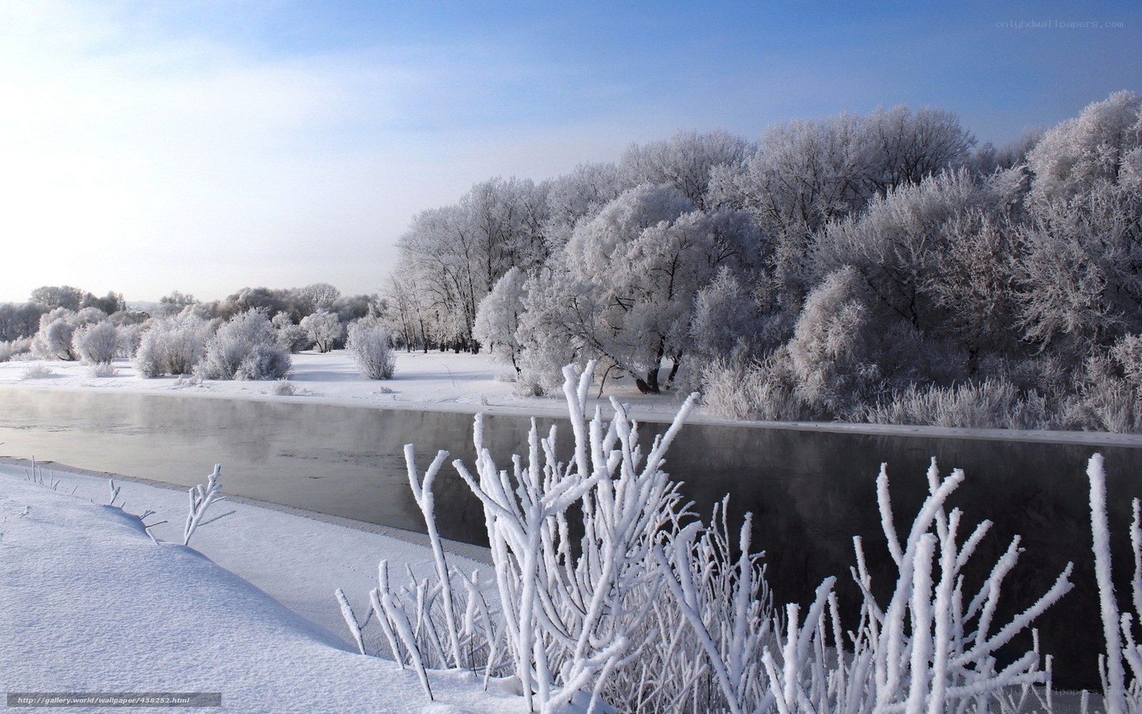 frozen river landscape