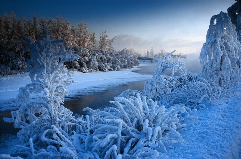 Frozen River Landscape — Blue, Cold, Winter, Photograph, Trees