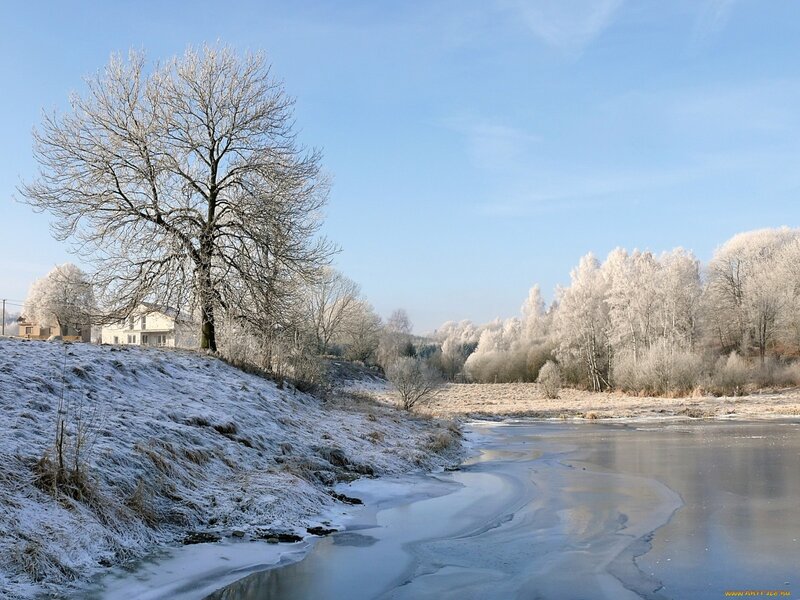 Frozen River Landscape — Blue, Serene, Winter, Photograph, Tree