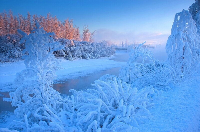 Frozen River Landscape — Blue, Serene, Winter, Photograph, Trees, Bridge