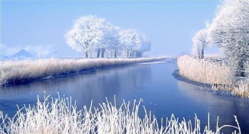Frozen River Landscape — Blue, Serene, Winter, Photograph, Trees, Reeds, White