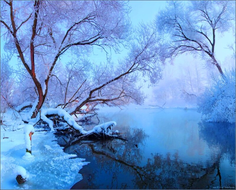 Frozen River Landscape — Blue, Serene, Winter, Photograph, Trees, Snow, Frost