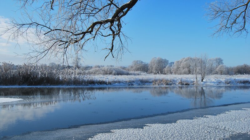 Frozen River Landscape — Blue, Serene, Winter, Photograph, Trees, Snow, White, Brown
