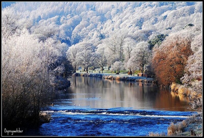 Frozen River Landscape — Blue, Serene, Winter, Photograph, Trees