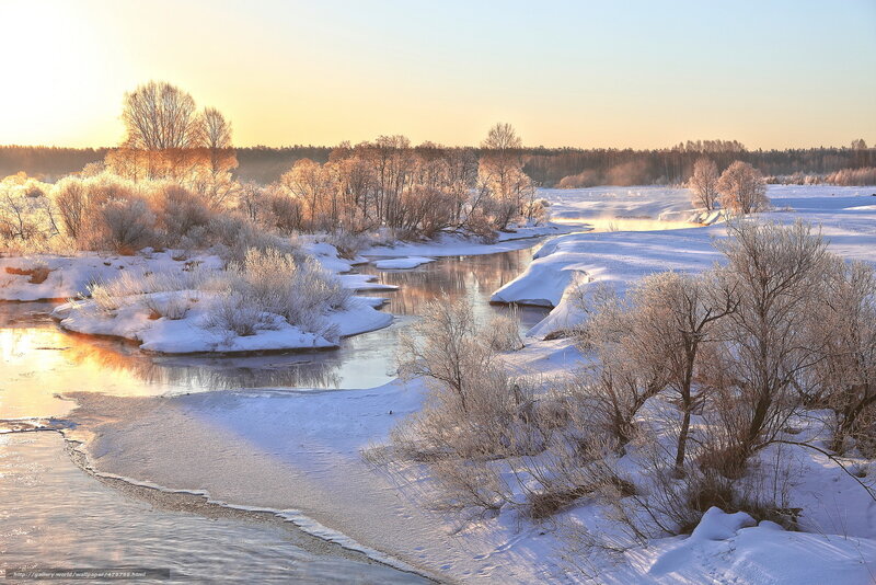 Frozen River Landscape — White, Serene, Winter, Photograph, Snow, Trees, Sunrise