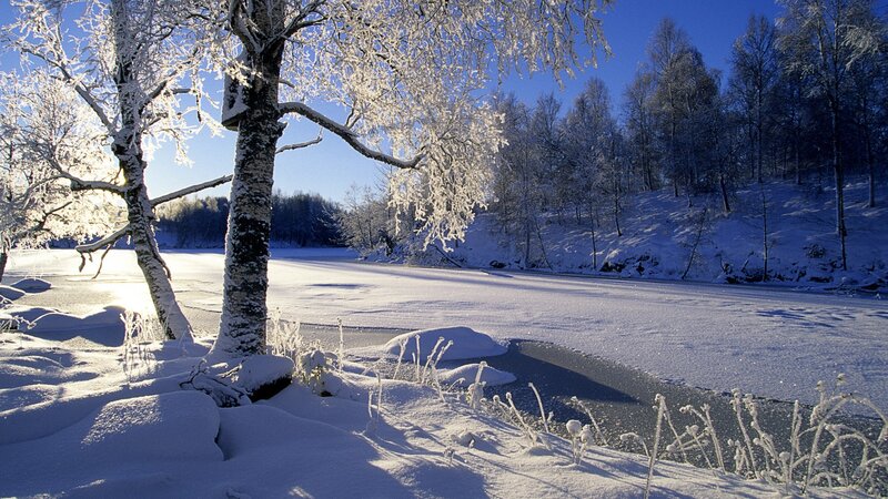 Frozen River Landscape — White, Serene, Winter, Photograph, Snow, Trees
