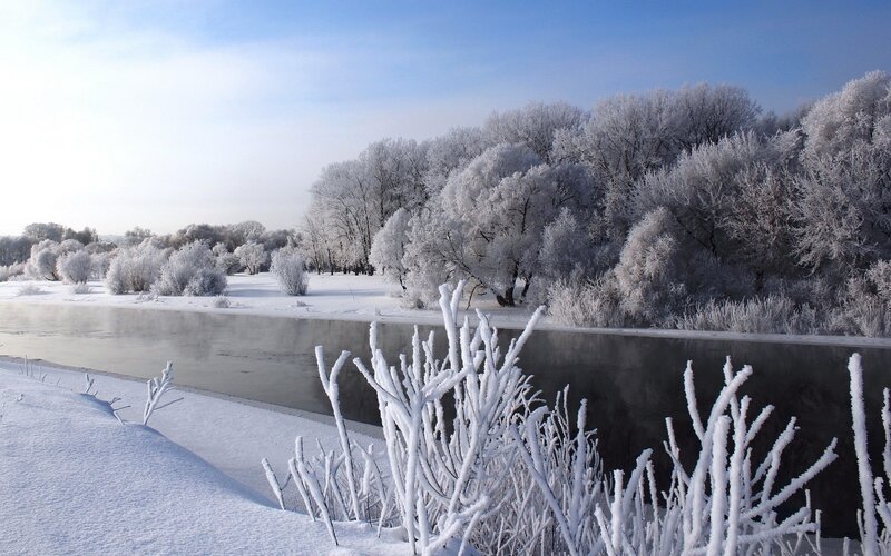 Frozen River Landscape — White, Serene, Winter, Photograph, Trees, Snow, Blue, Gray