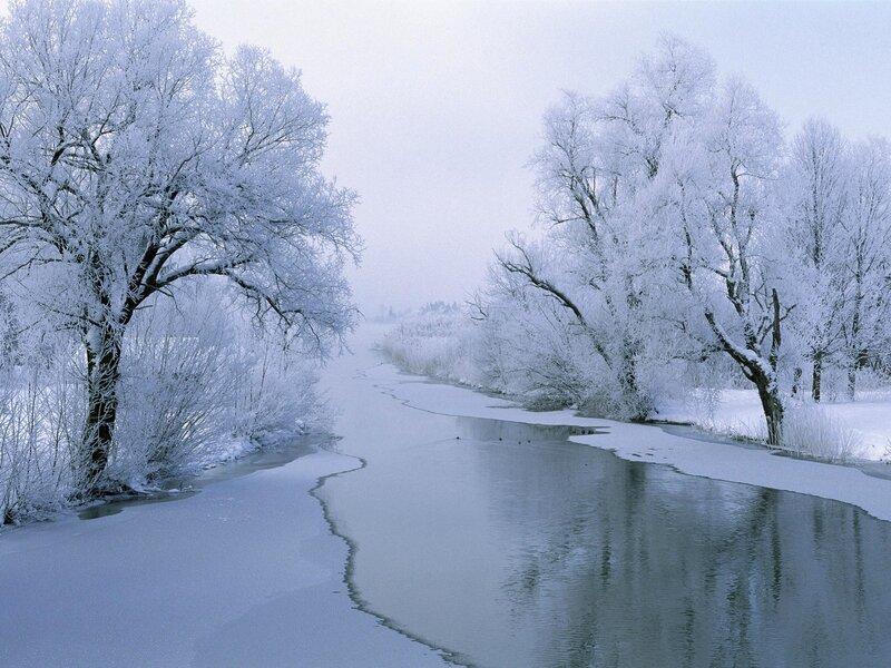 Frozen River Landscape — White, Serene, Winter, Photograph, Trees, Snow