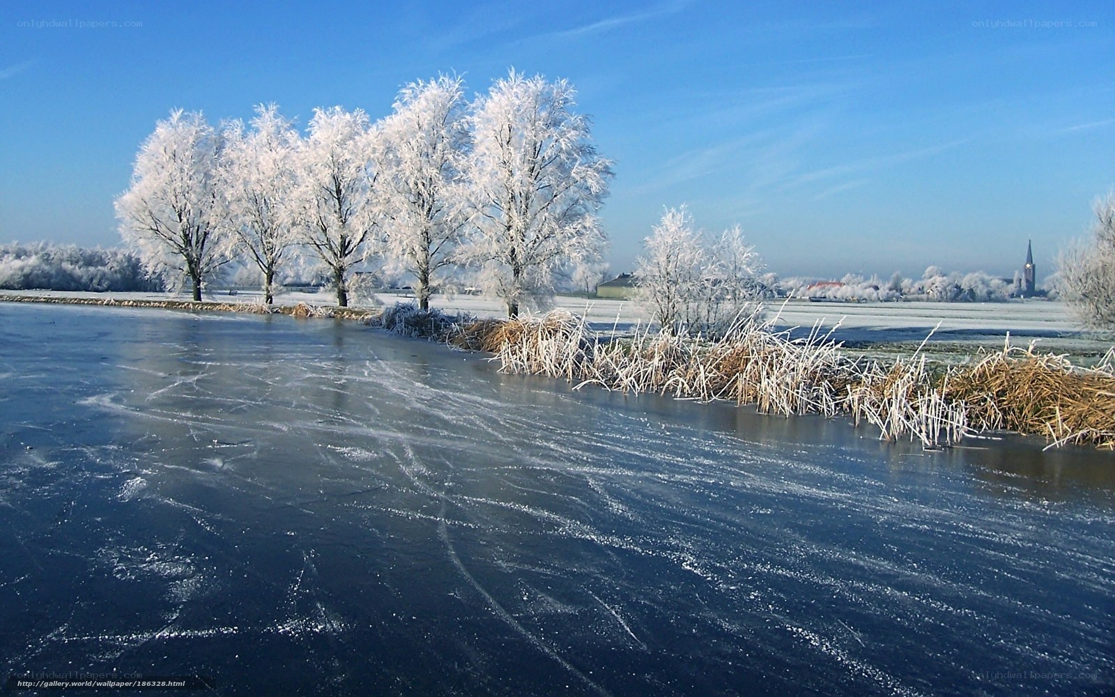 frozen river landscape