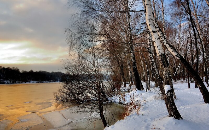 Frozen River with Birch Trees — White