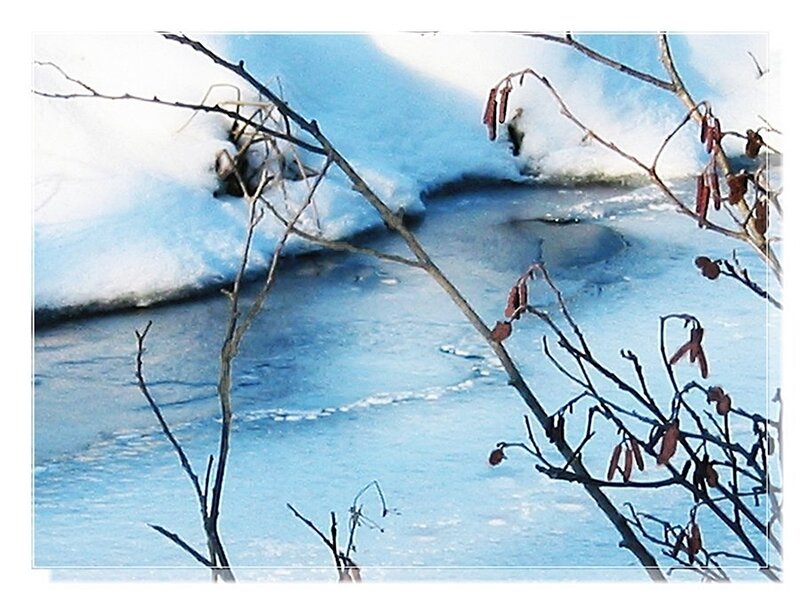 Frozen River with Branches