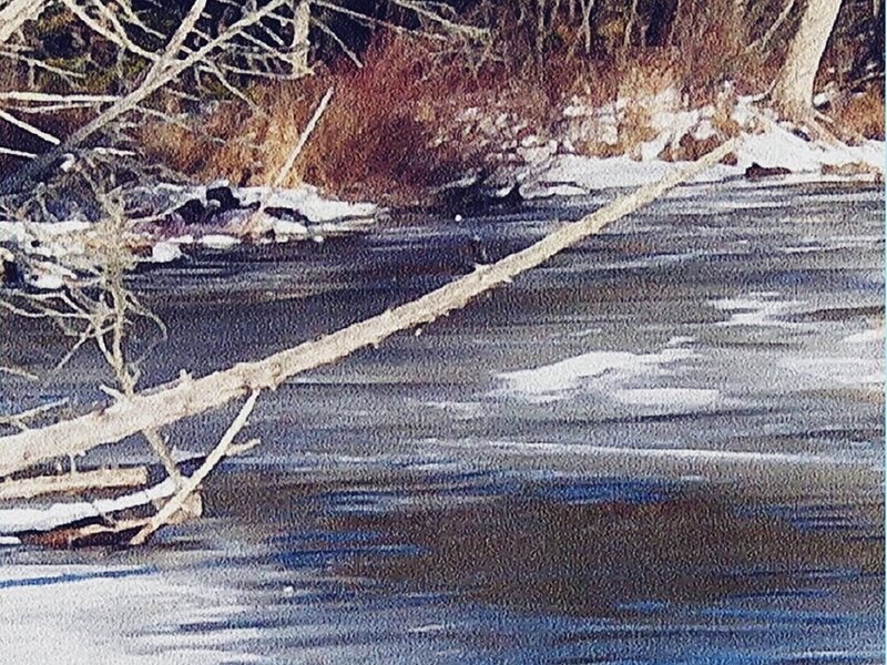 Frozen River with Driftwood