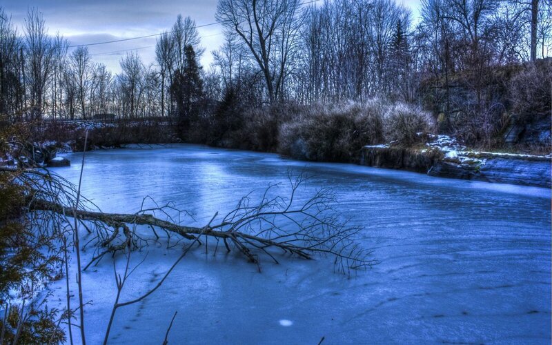 Frozen River with Fallen Branch