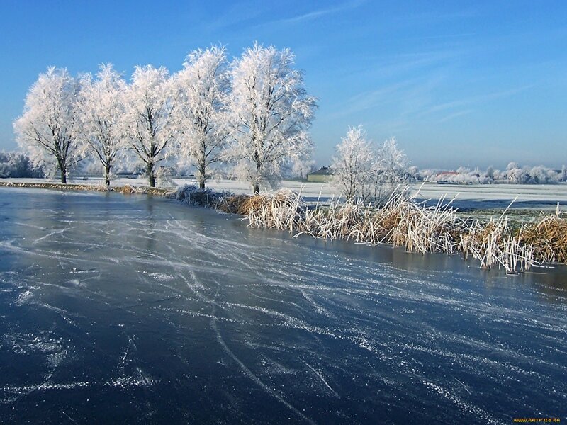 Frozen River with Frosted Trees