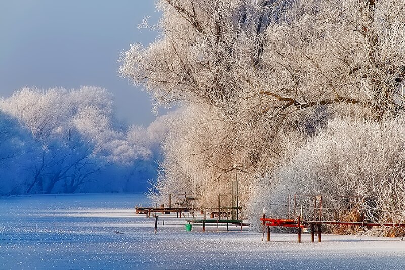 Frozen River with Ice-covered Trees — White