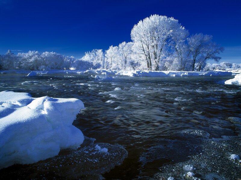 Frozen River with Snow-covered Trees — Blue, Cold