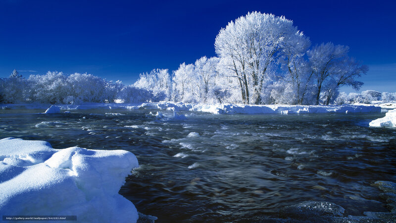 Frozen River with Snow-covered Trees — Blue