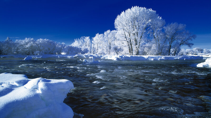 Frozen River with Snow-covered Trees