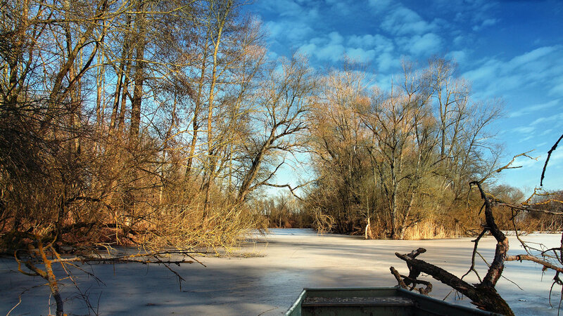 Frozen River with Trees — Blue, Serene